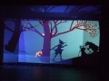 그림자 극(Shadow Shows)